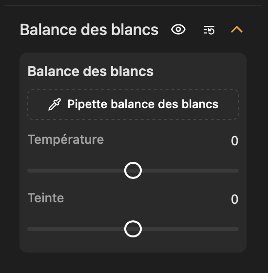 Panneau Balance des blancs : pipette, température et teinte.